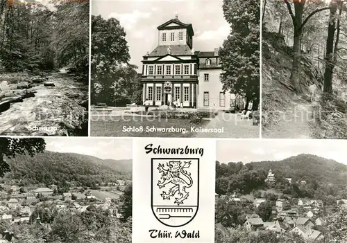 AK / Ansichtskarte Schwarzburg Thueringer Wald Waldpartie Schwarza Schloss Kaisersaal Landschaftspanorama Kat. Schwarzburg