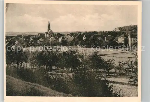 AK / Ansichtskarte Bad Rappenau Panorama  Kat. Bad Rappenau