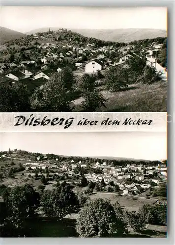 AK / Ansichtskarte Dilsberg Panorama Kat. Neckargemuend