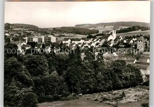 AK / Ansichtskarte Neckarbischofsheim Panorama Kat. Neckarbischofsheim