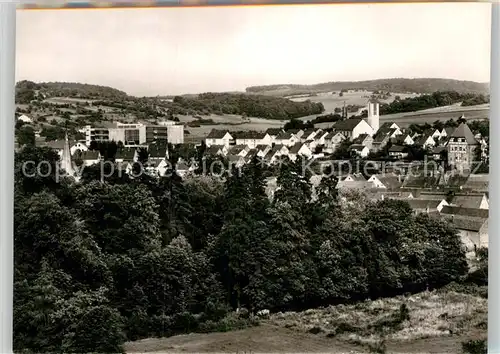 AK / Ansichtskarte Neckarbischofsheim Panorama Kat. Neckarbischofsheim