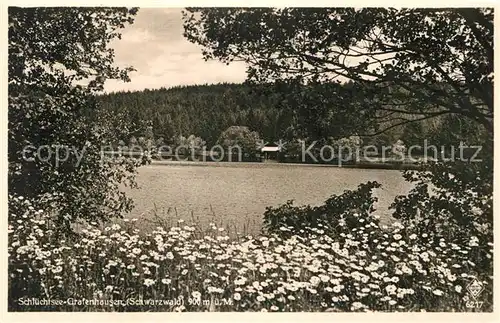 AK / Ansichtskarte Grafenhausen Schwarzwald Schluechtsee Kat. Grafenhausen