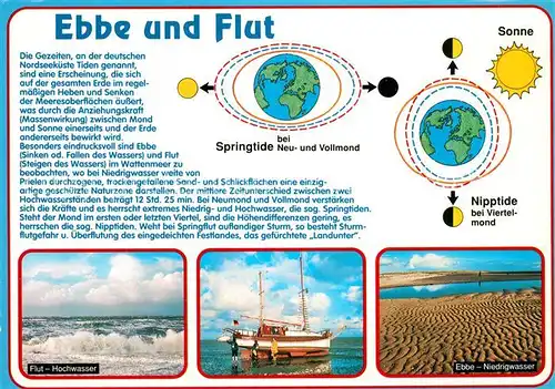 AK / Ansichtskarte Wissenschaft Science Ebbe und Flut Springtide Nipptide  Kat. Wissenschaft Science