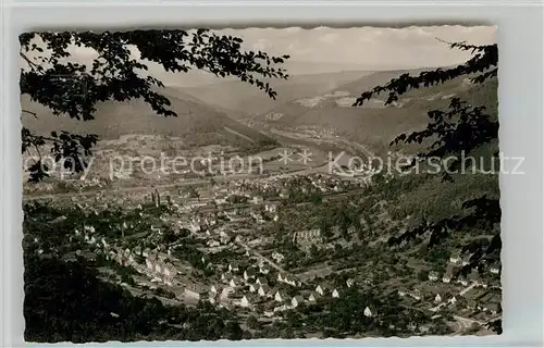 AK / Ansichtskarte Eberbach Neckar Panorama  Kat. Eberbach