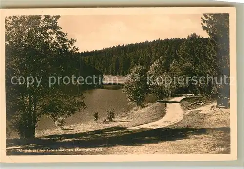 AK / Ansichtskarte Grafenhausen Schwarzwald Schluechtsee Kat. Grafenhausen