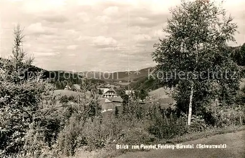 AK / Ansichtskarte Baerental Feldberg Blick zum Ponyhof Kat. Feldberg (Schwarzwald)