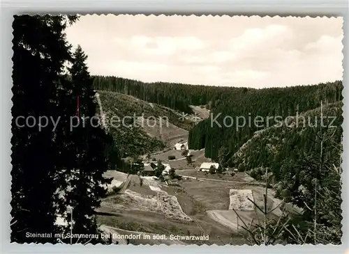 AK / Ansichtskarte Steinatal Bonndorf Panorama 