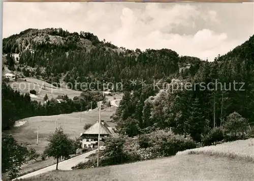 AK / Ansichtskarte Haeusern Schwarzwald Bildsteintal Kat. Haeusern