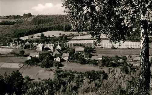 AK / Ansichtskarte Hirschhorn Neckar Gasthof Pension Zum Weissen Lamm Kat. Hirschhorn (Neckar)