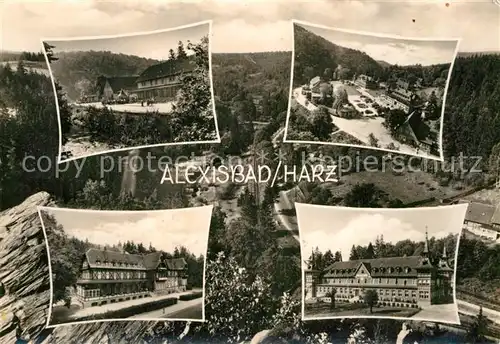 AK / Ansichtskarte Alexisbad Harz  Kat. Harzgerode