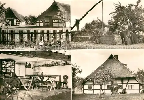 AK / Ansichtskarte Klockenhagen Denkmalhof Kat. Ribnitz Damgarten