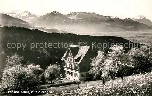 AK / Ansichtskarte Bregenz Vorarlberg Pension Adler Fluh  Kat. Bregenz