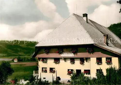 AK / Ansichtskarte Hinterzarten Gasthaus Pension Heizmannshof Kat. Hinterzarten