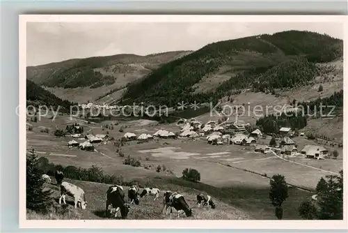 AK / Ansichtskarte Menzenschwand Panorama  Kat. St. Blasien