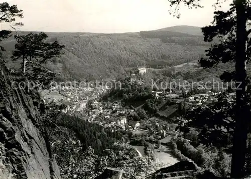 AK / Ansichtskarte Schwarzburg Thueringer Wald Trippsteinblick Kat. Schwarzburg