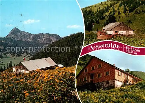 AK / Ansichtskarte Tannheim Tirol Usseralpe Kat. Tannheim