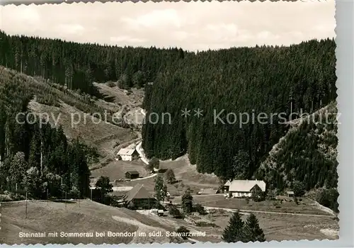 AK / Ansichtskarte Steinatal Bonndorf Panorama Sommerau