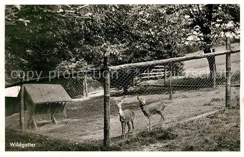 AK / Ansichtskarte Hoechenschwand Wildgatter Kat. Hoechenschwand