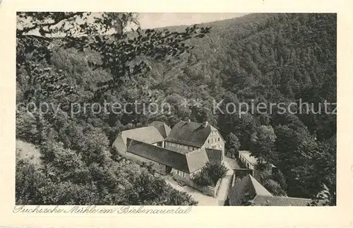 AK / Ansichtskarte Weinheim Bergstrasse Fuchs`sche Muehle Kat. Weinheim