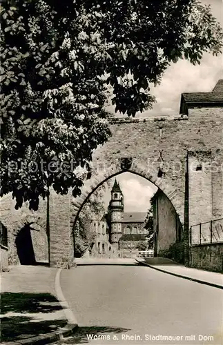 AK / Ansichtskarte Worms Rhein Stadtmauer mit Dom Kat. Worms