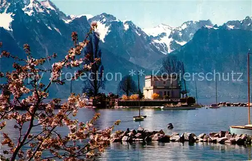 AK / Ansichtskarte Clarens Montreux Ile de Salagnon et les Alpes de Savoie Kat. Montreux