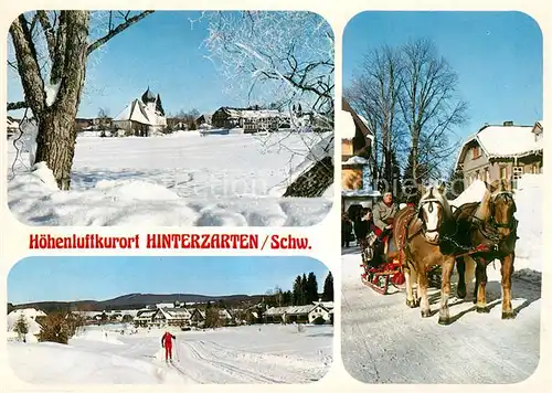 AK / Ansichtskarte Hinterzarten Teilansicht Skiloipe Pferdeschlitten Kat. Hinterzarten