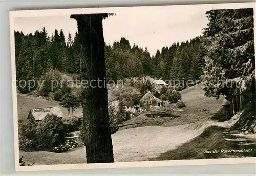 AK / Ansichtskarte Hinterzarten Ravennaschlucht Kat. Hinterzarten