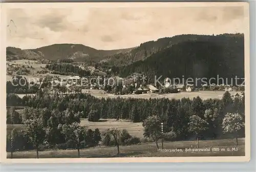 AK / Ansichtskarte Hinterzarten Panorama  Kat. Hinterzarten