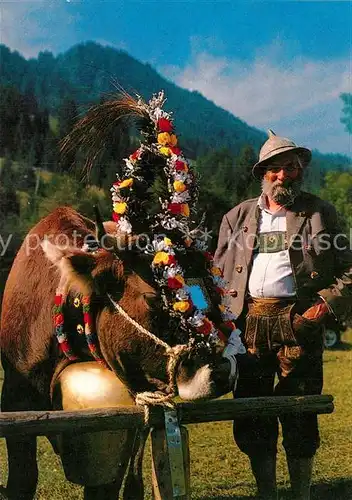 AK / Ansichtskarte Kuehe Alpabtrieb  Kat. Tiere