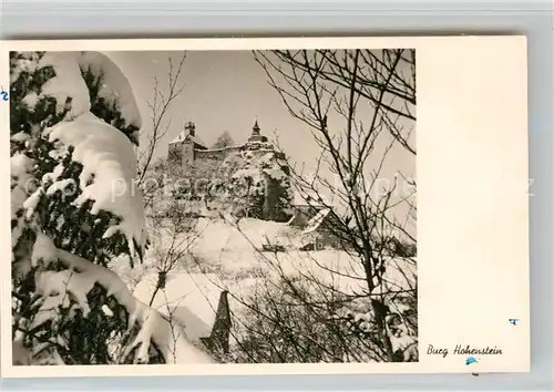 AK / Ansichtskarte Hersbruck Burg Hohenstein Kat. Hersbruck