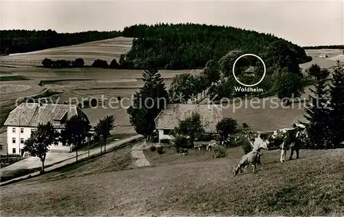 AK / Ansichtskarte Herrischwand Hotel Pension Waldheim Kat. Herrischried