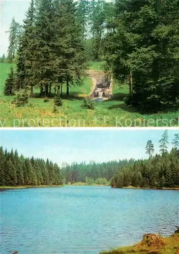 AK / Ansichtskarte Tannenbergsthal Vogtland Am Vogtlandsee Kat. Tannenbergsthal Vogtland