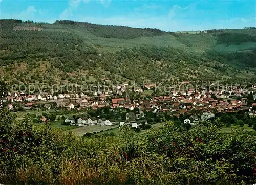 AK / Ansichtskarte Schneeberg Unterfranken Panorama Kat. Schneeberg