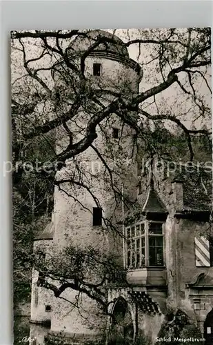 AK / Ansichtskarte Mespelbrunn Schloss Kat. Mespelbrunn