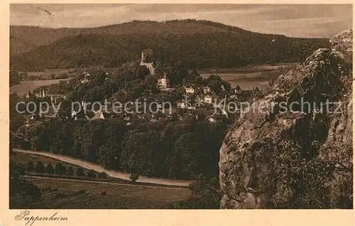 AK / Ansichtskarte Pappenheim Mittelfranken Panorama  Kat. Pappenheim