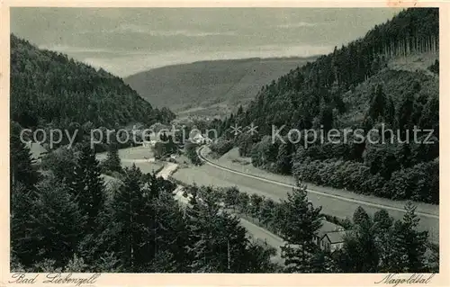 AK / Ansichtskarte Bad Liebenzell Nagoldtal Kat. Bad Liebenzell