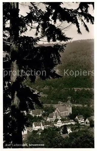 AK / Ansichtskarte Bad Liebenzell Teilansicht mit Kirche Kat. Bad Liebenzell