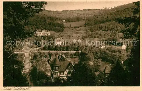 AK / Ansichtskarte Bad Liebenzell Teilansicht Kat. Bad Liebenzell