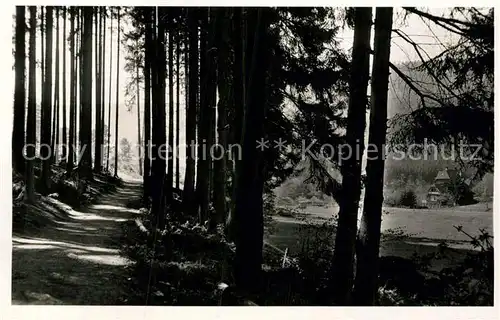 AK / Ansichtskarte Bad Liebenzell Waldpartie beim Kurhaus Monbachtal Kat. Bad Liebenzell