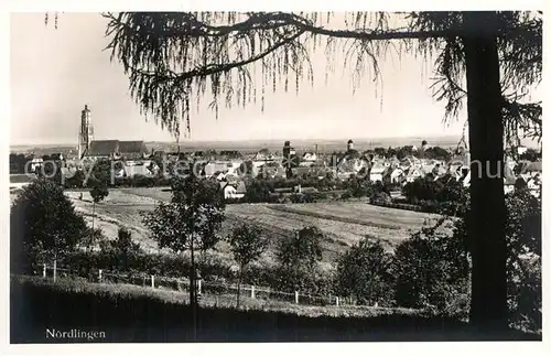 AK / Ansichtskarte Noerdlingen Panorama  Kat. Noerdlingen