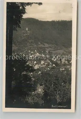 AK / Ansichtskarte Bad Liebenzell Teilansicht mit Burg Kat. Bad Liebenzell