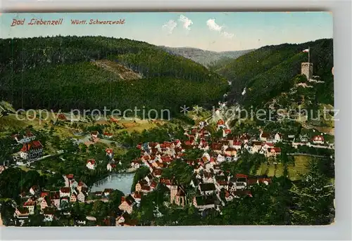 AK / Ansichtskarte Bad Liebenzell Panorama Kat. Bad Liebenzell