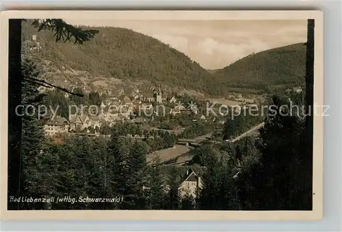 AK / Ansichtskarte Bad Liebenzell Panorama Kat. Bad Liebenzell