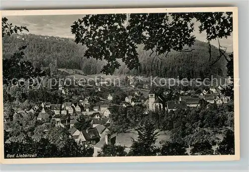 AK / Ansichtskarte Bad Liebenzell Panorama Kat. Bad Liebenzell