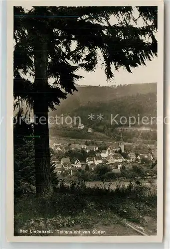 AK / Ansichtskarte Bad Liebenzell Teilansicht Kat. Bad Liebenzell