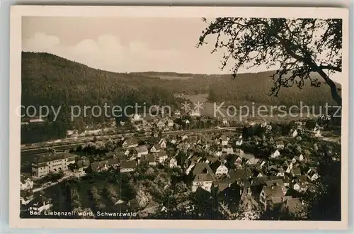 AK / Ansichtskarte Bad Liebenzell Panorama Kat. Bad Liebenzell