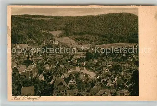 AK / Ansichtskarte Bad Liebenzell Panorama Kat. Bad Liebenzell