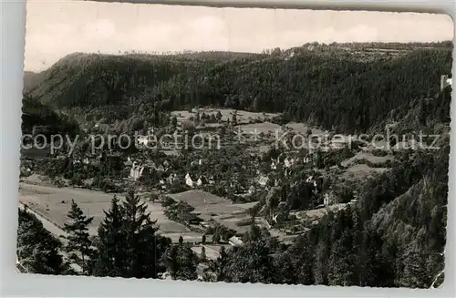 AK / Ansichtskarte Bad Liebenzell Panorama Kat. Bad Liebenzell