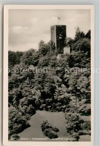 AK / Ansichtskarte Bad Liebenzell Burgruine Liebenzell Kat. Bad Liebenzell