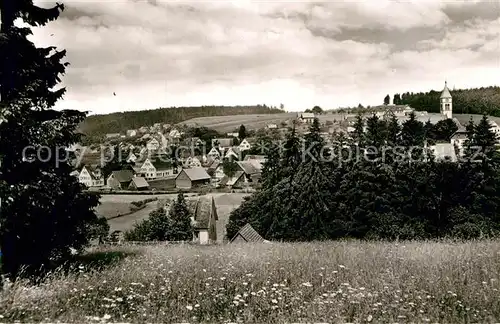 AK / Ansichtskarte Luetzenhardt Panorama Kat. Waldachtal